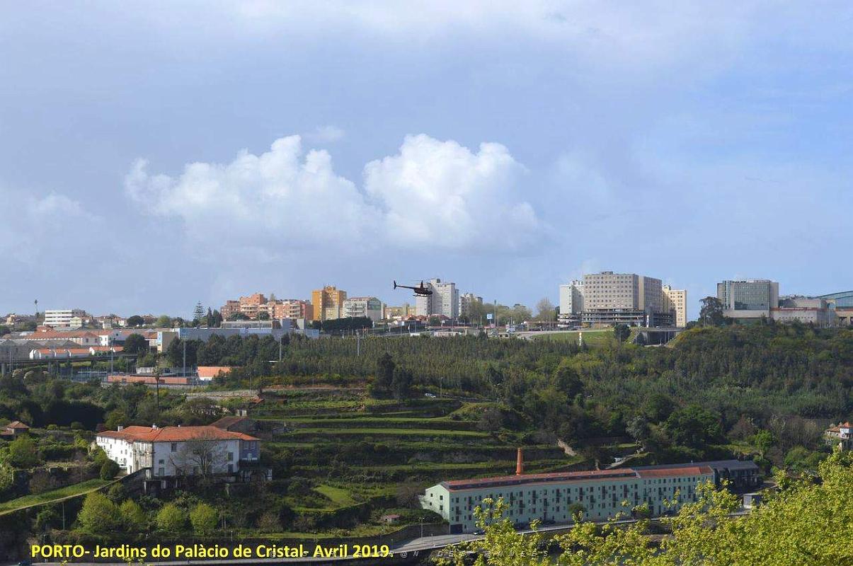 1073- Porto Jardins Palais Cristal.jpg
